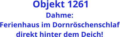 Objekt 1261 Dahme: Ferienhaus im Dornröschenschlaf direkt hinter dem Deich!